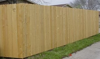 �����: �������� ���������� ����� �� �����