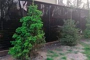 ����� �� ������������� ����������